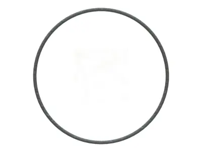 O Ring Vedabras 12887 3D model