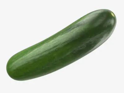 Vegetables Collection  purchase 3D model