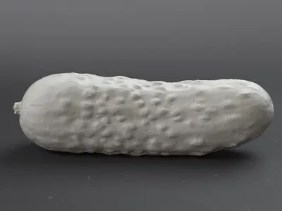 Cucumber pickle 3D model