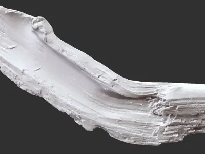 Tree trunk 3d scan in highpoly 3D model