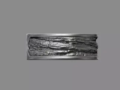 Tree Bark Ring - Organic Jewelry v2 3D print model