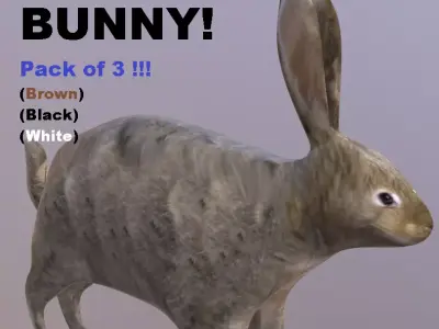 Bunny 3 Different Looks Low-poly 3D model
