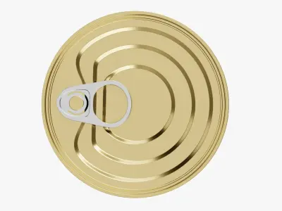 Tuna Tin Can 2 3D model