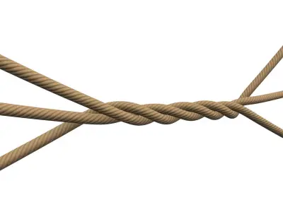 Rope Ropes 3D model
