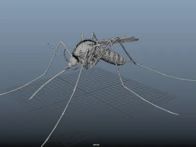 Rigged Black Mosquito 3D model