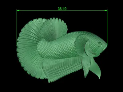 fish beta 3D print model