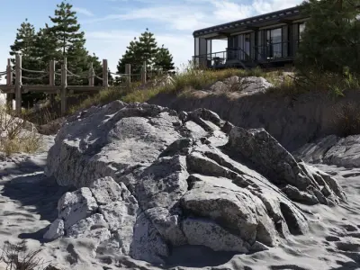  Large Layered Beach Rock Model  purchase