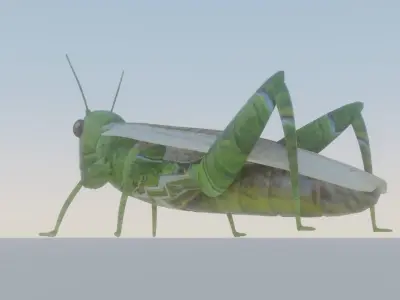 grasshopper Low-poly 3D model buy
