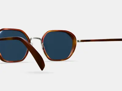 Levins Sunglasses in Rye Tortoise Matte with Antique Silver 3D model
