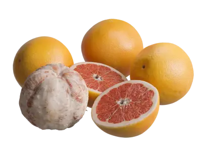  Grapefruit Models 