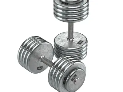 A set of 20 dumbbells from 5 to 100 kg 3D model