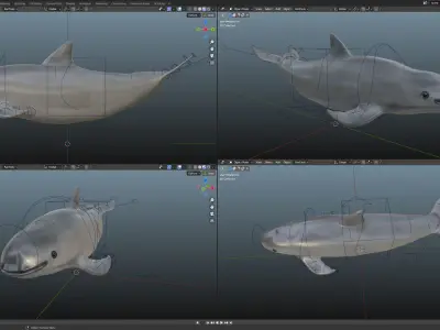Vaquita Low-poly 3D model