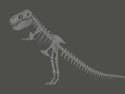 Tyrannosaurus Rex Fossil 3D model
