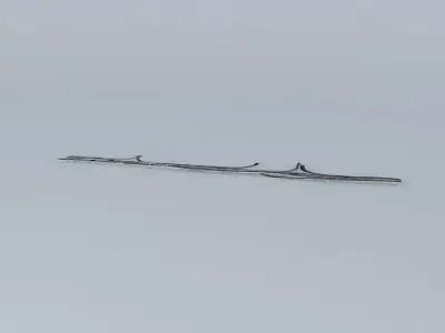 Brisbane Riverside Expressway Free 3D model