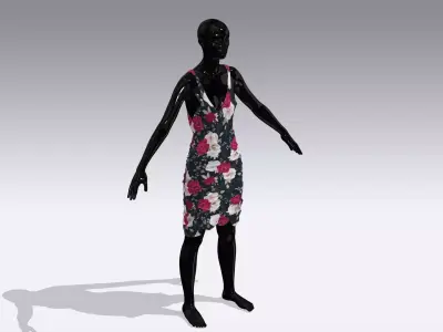 Woman Cloth Dress Low-poly 3D model