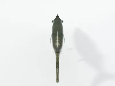 Needle Fish Low-poly 3D model