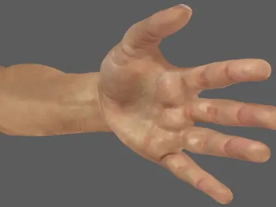 high resolution hand ready for close shoots  3D model