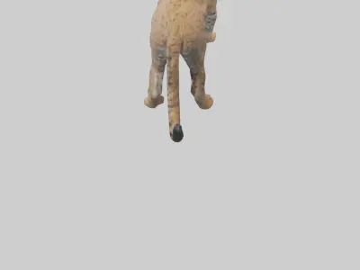 Bobcat stalking model 3D model