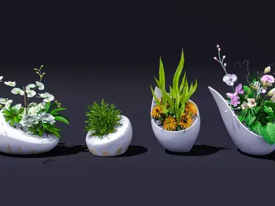 floriculture Flowers cylinder commercial design 3D model