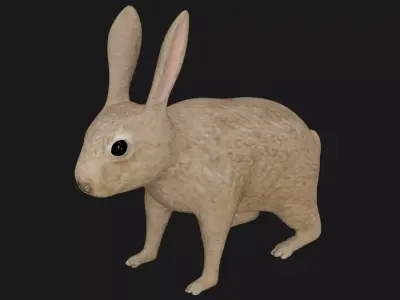 Rabbit hare bunny low poly rigged Low-poly 3D model
