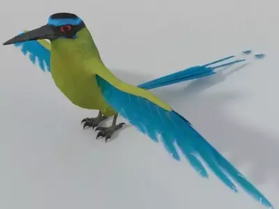 Barranquero Bird Low-poly 3D model