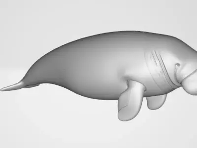 Dugongo 3D model