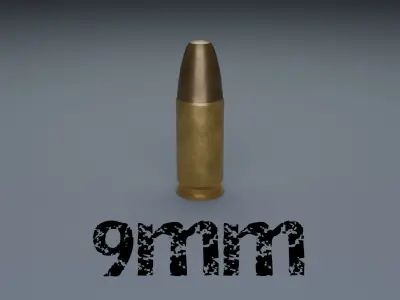 Common Bullet Types 3D model