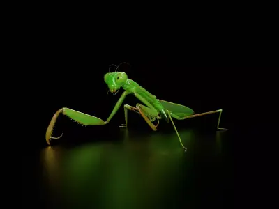 Praying Mantis Rig PBR 3D model