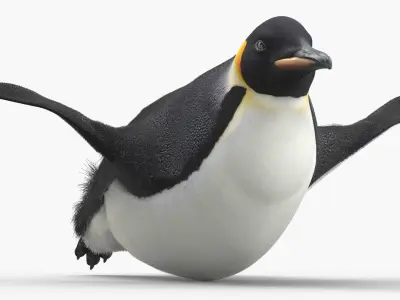  Belly Gliding Emperor Penguin Fur 
