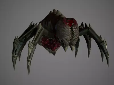 Spider Low-poly 3D model 4