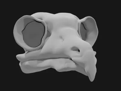 Owl skull 3D model