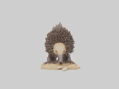 Echidna digging model 3D model