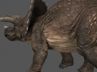 Triceratops-Maya 3D model