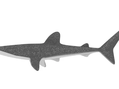 Rigged Low Poly Whale Shark for Blender Free 3D model