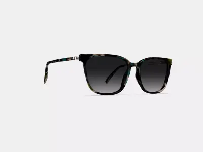 Esme Sunglasses in Aventurine Tortoise with Polished Gold 3D model