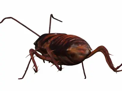 Cockroach Low-poly 3D model purchase