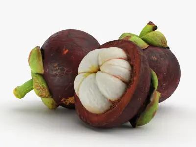 Mangosteen Fruit 3D model