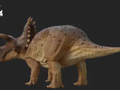 Triceratops Low-poly 3D model 4
