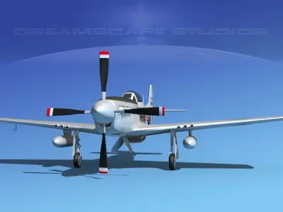 F-51D Mustang USAF 1 3D model