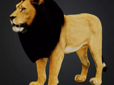 lionn 3D model