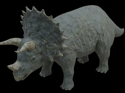 Triceratops Dinosaur Low-poly 3D model get
