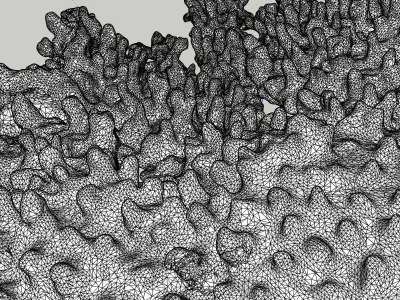 Intricate 3D scanned live Coral  3D model