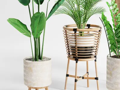 Indoor Plant Set 07 3D model