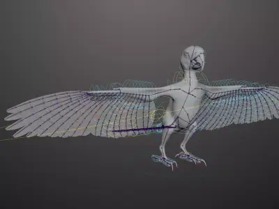 Basic model with Animation RIG of Macaw 3D model