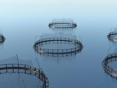 Fish farm net  3D model