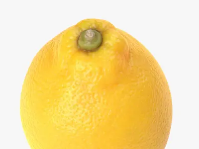 Lemon PBR Scan Retopo 3D model