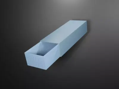 BOX PACKAGING  MODEL  3D model
