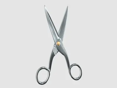 Scissors 1303 3D model