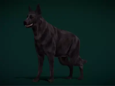 Black German Shepherd Dog Breed Free low-poly 3D model
