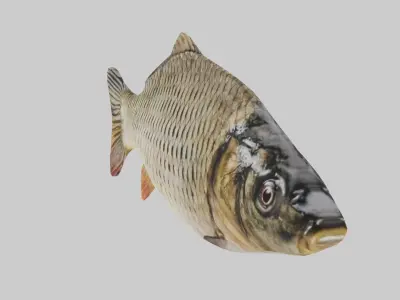Low Poly Carp fish Free low-poly 3D model